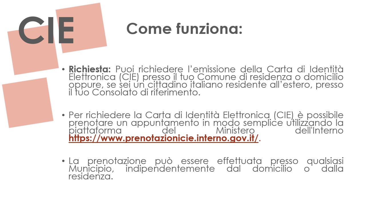 Slide 10