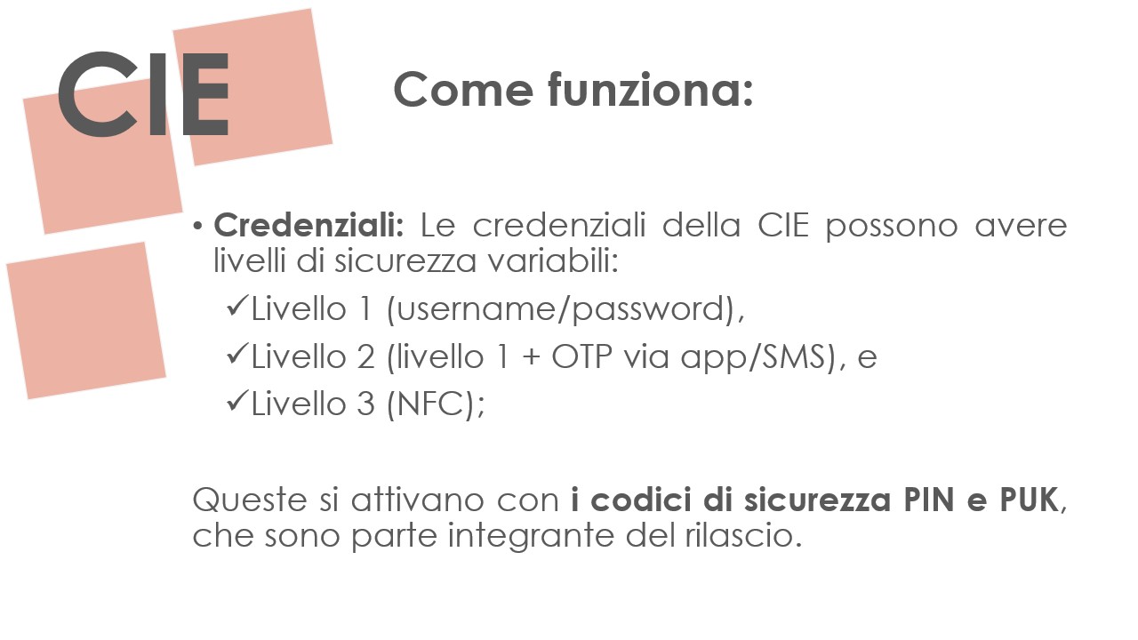 Slide 11